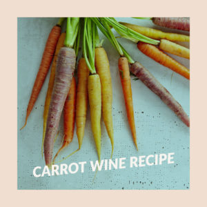 carrot-wine-receipe